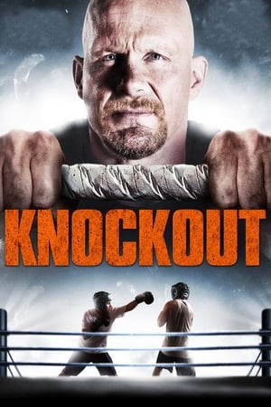 Born to Fight 2011 Hindi Dual Audio 300MB - Movierulz
