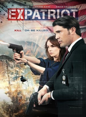 ExPatriot 2017 Hindi Dual Audio [870MB] - Movierulz