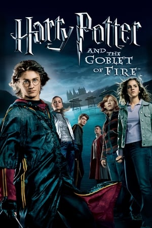 Fire & Ice (2008) Hindi Dual Audio [1.1GB] - Movierulz