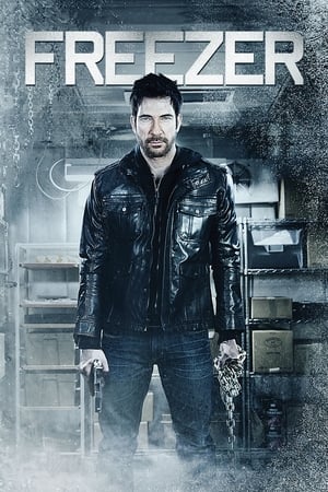 Freezer (2014) Hindi Dual Audio [800MB] - Movierulz