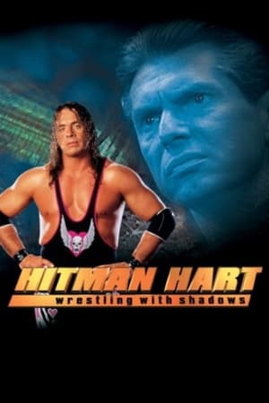 Hitman (1998) Hindi Dual Audio 300MB - Movierulz