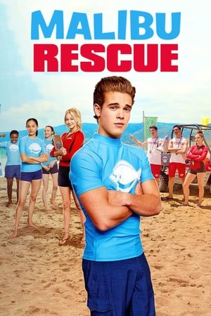 Malibu Rescue (2019) Hindi Dual Audio [1.4GB] - Movierulz