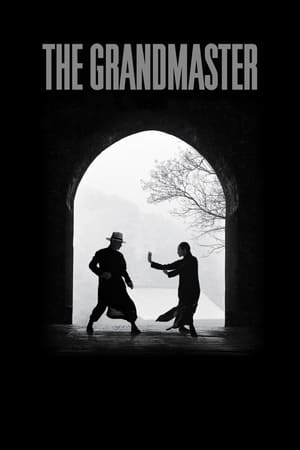 The Grandmaster (2013) Hindi Dual Audio 350MB ESubs - Movierulz