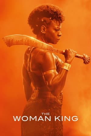 The Woman King 2022 Hindi (Cleaned) Dual Audio – - Movierulz